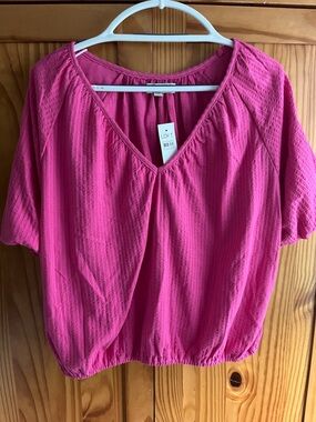 LOFT Fuchsia V-Neck Short Sleeve Bubble sleeve and waist